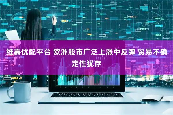 维嘉优配平台 欧洲股市广泛上涨中反弹 贸易不确定性犹存