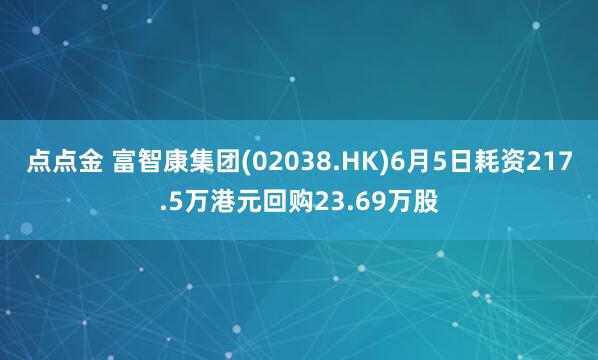 点点金 富智康集团(02038.HK)6月5日耗资217.5万港元回购23.69万股