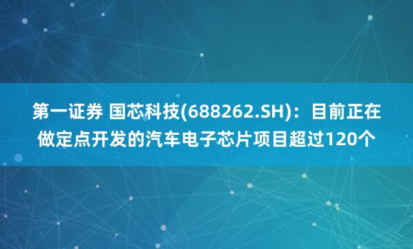 第一证券 国芯科技(688262.SH)：目前正在做定点开发的汽车电子芯片项目超过120个