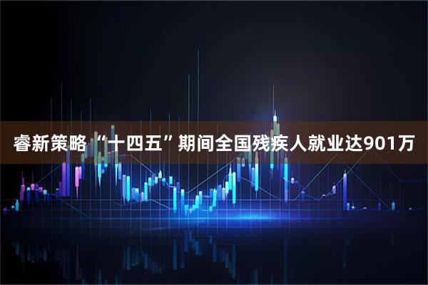 睿新策略 “十四五”期间全国残疾人就业达901万