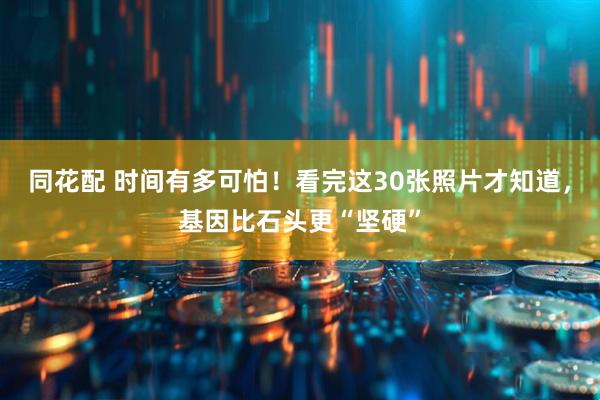 同花配 时间有多可怕！看完这30张照片才知道，基因比石头更“坚硬”