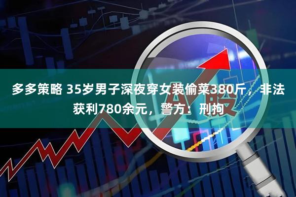多多策略 35岁男子深夜穿女装偷菜380斤，非法获利780余元，警方：刑拘
