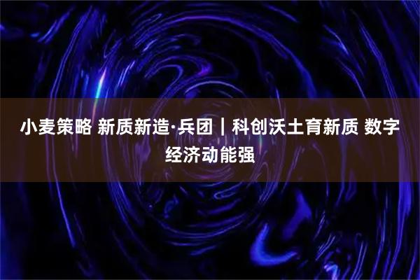 小麦策略 新质新造·兵团｜科创沃土育新质&#32;数字经济动能强