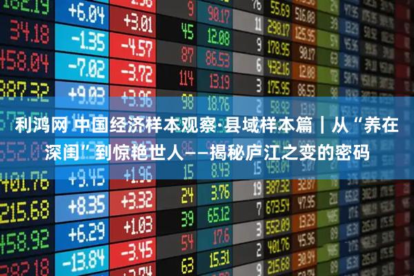 利鸿网 中国经济样本观察·县域样本篇｜从“养在深闺”到惊艳世人——揭秘庐江之变的密码