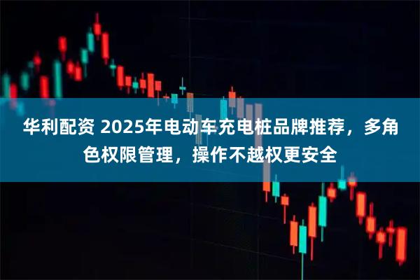 华利配资 2025年电动车充电桩品牌推荐,多角色权限管理,操作不越权更安全