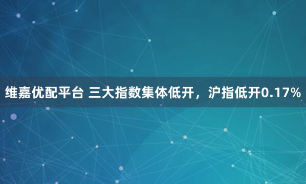 维嘉优配平台 三大指数集体低开，沪指低开0.17%