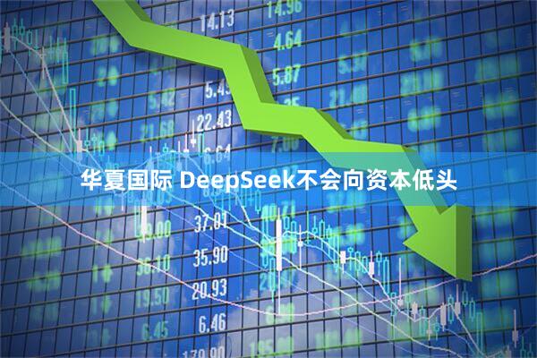 华夏国际 DeepSeek不会向资本低头