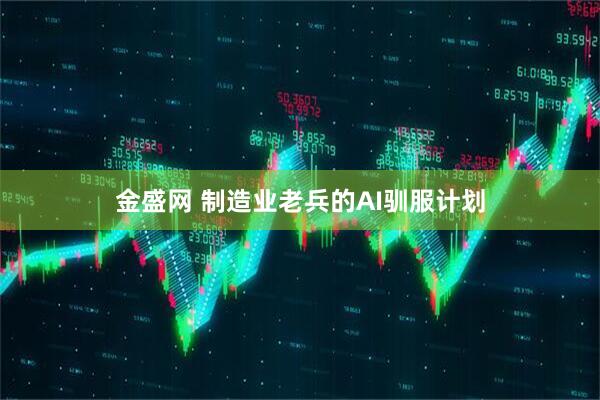 金盛网 制造业老兵的AI驯服计划